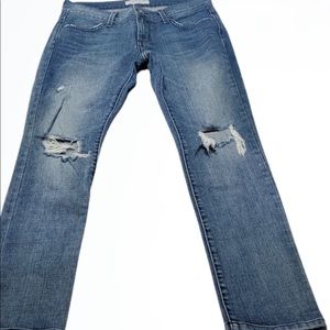 James Jeans Neo Beau Low Rise Distressed Boyfriend Size 24